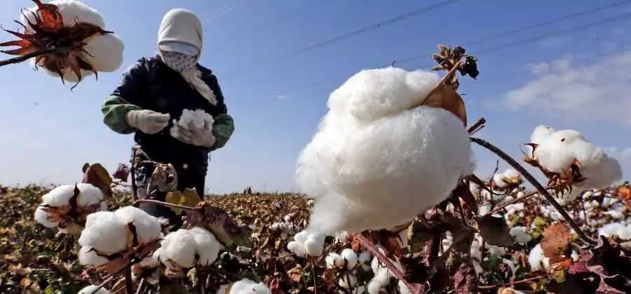 Our Prodcution插图