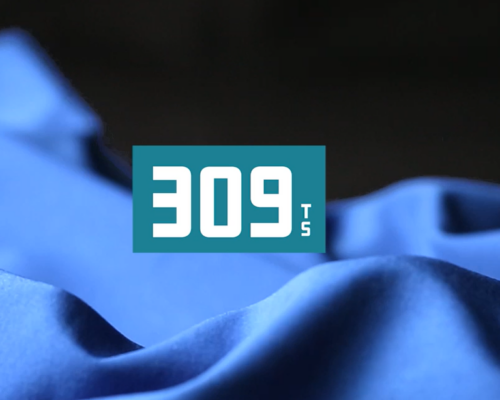 309 Functional Performance